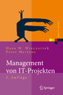 Management von IT-Projekten - Von der Planung zur Realisierung